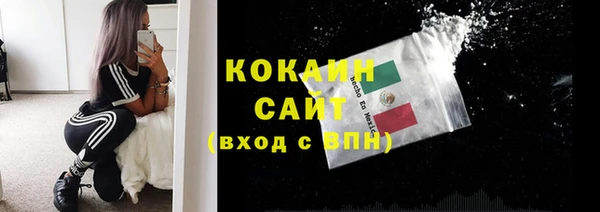 дживик Нягань