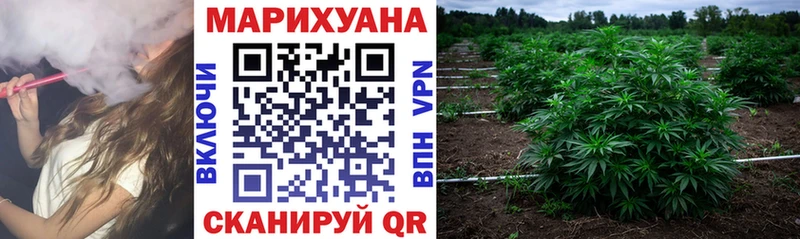 Канабис Amnesia Ленинградская